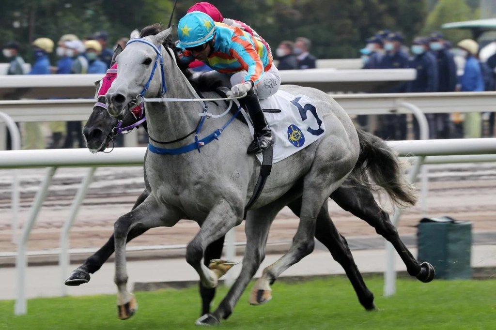 方嘉柏自詡多巴先生可達120分