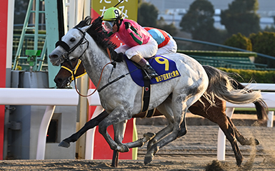 東京大賞典，Omega Perfume四連霸達成