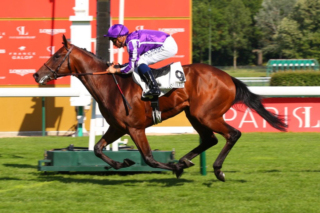 一級賽上名馬一發三響來港上陣