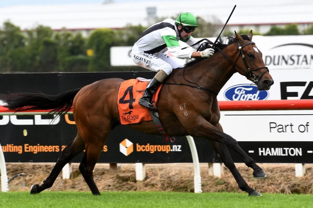 每日賽馬晚報（2022年1月7日），Scribe強勢來港上陣，媒體日蝕獎名單公佈