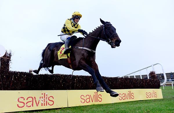 每日賽馬晚報（2022年1月2日），星光速角逐中山金盃……才怪，Al Boum Photo愛爾蘭障礙三級賽四連霸