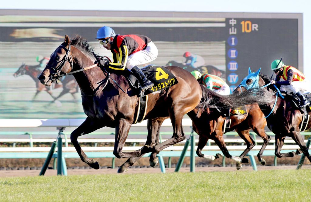 每日賽馬晚報(2022年6月9日),工業國度戰轉戰泥地,練馬師打死不想讓亮葉仙查跑金盃