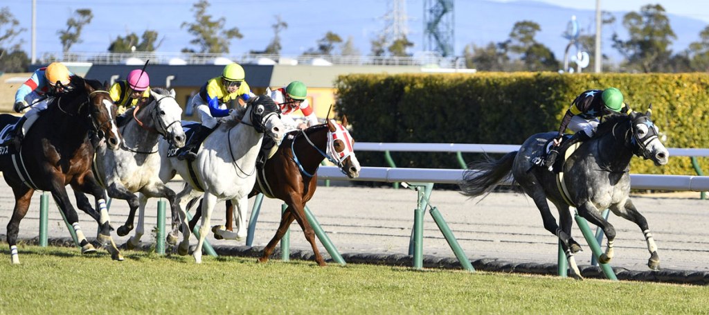 每日賽馬晚報（2022年1月5日），香港疫情第五波你要知道的事，萬勝飛力求衛冕沙地盃