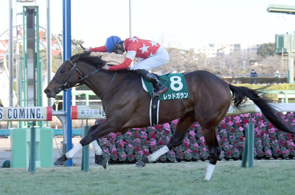 中山金盃，Red Gallant奇兵終突圍而出