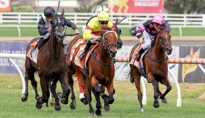 賀賢怎樣看前香港馬好好瑪表現