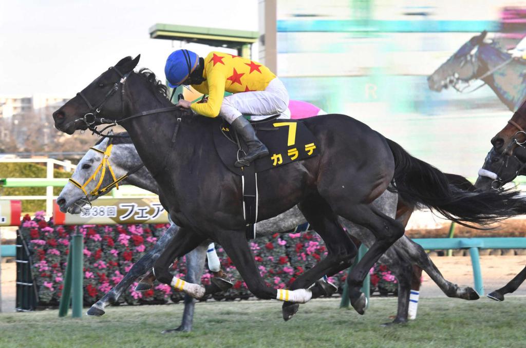 每日賽馬晚報(2022年1月8日),田邊裕信因好友確診被隔離,空手道留在中山跑表列賽有斬穫