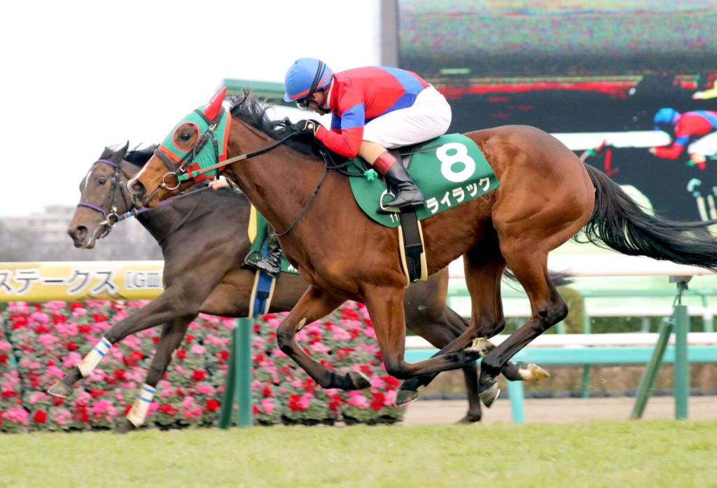 每日賽馬晚報（2025年12月15日），🇯🇵北島名花香港瓶及有馬紀念賽隨時雙輸，🇦🇺萬力王攻下Gold Rush錦標