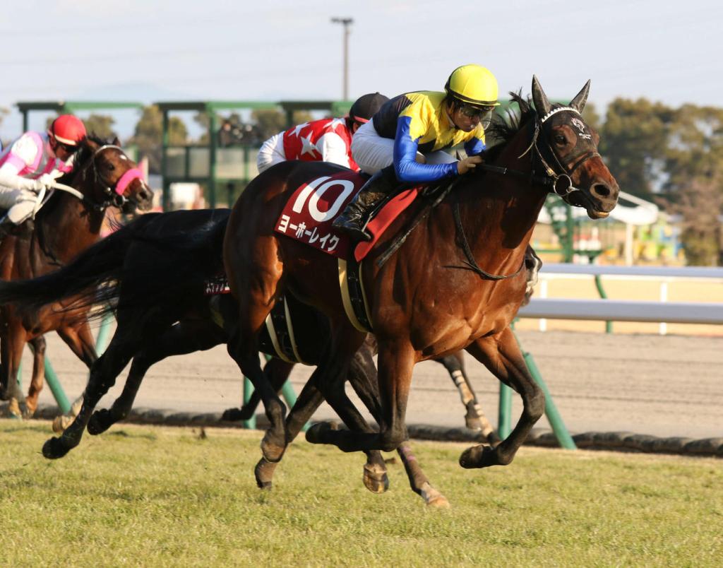 每日賽馬晚報（2024年2月20日），🇯🇵優鶴湖相隔26個月再復出，🇭🇰朗朗乾坤週五決定命運