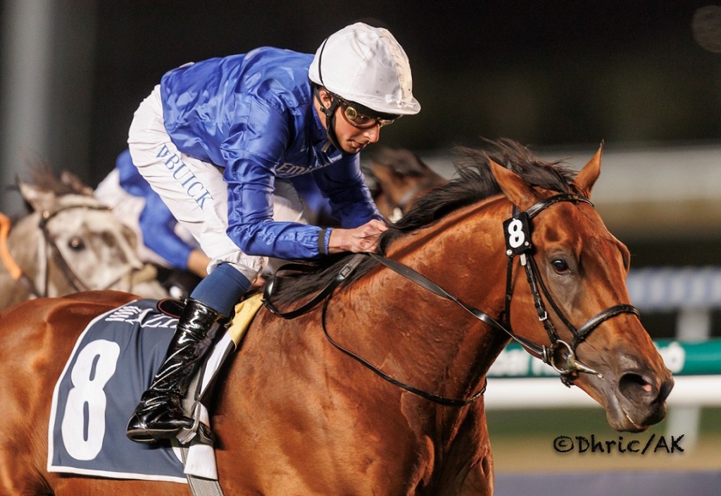 海金冠能否在英國冠軍賽馬日埋齋？