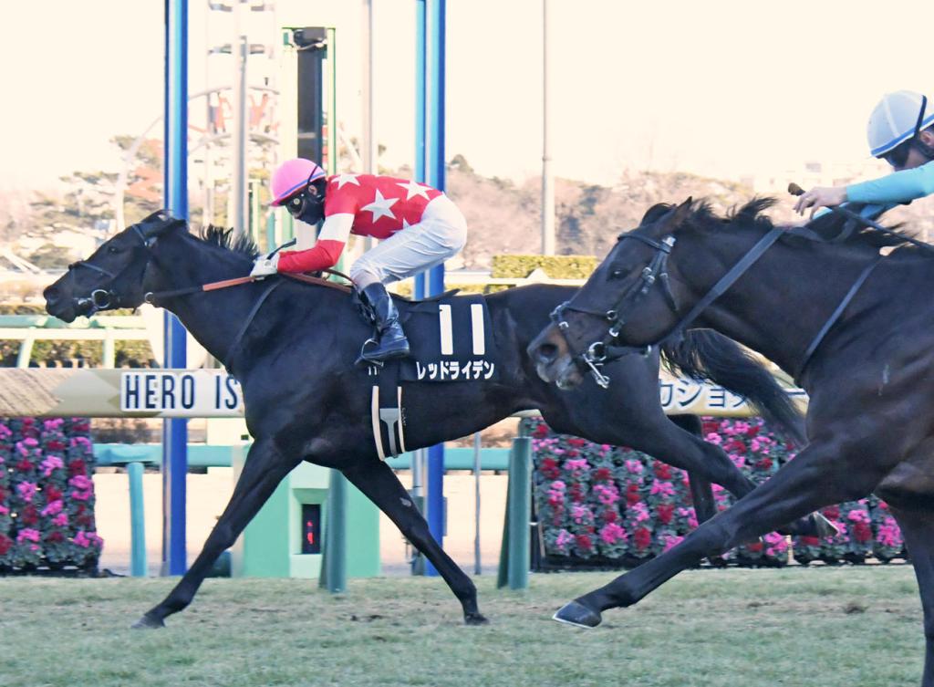 每日賽馬晚報（2022年1月24日），金鎗六十敗陣後騎師指可放鬆來跑，小鎮風情子嗣南非首勝