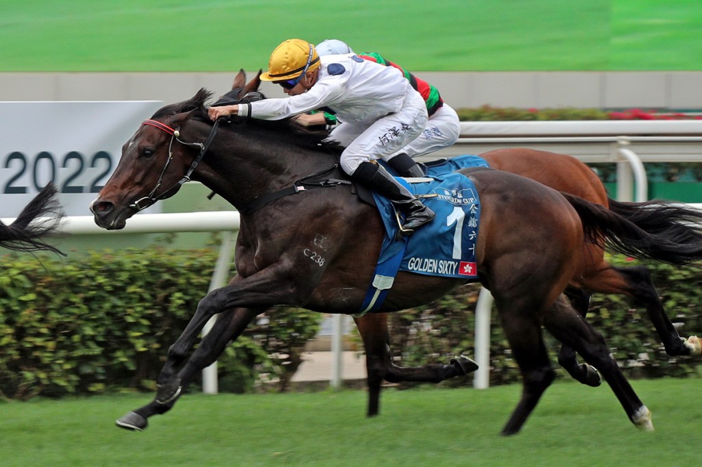 十二匹香港馬報名杜拜世界盃賽馬日