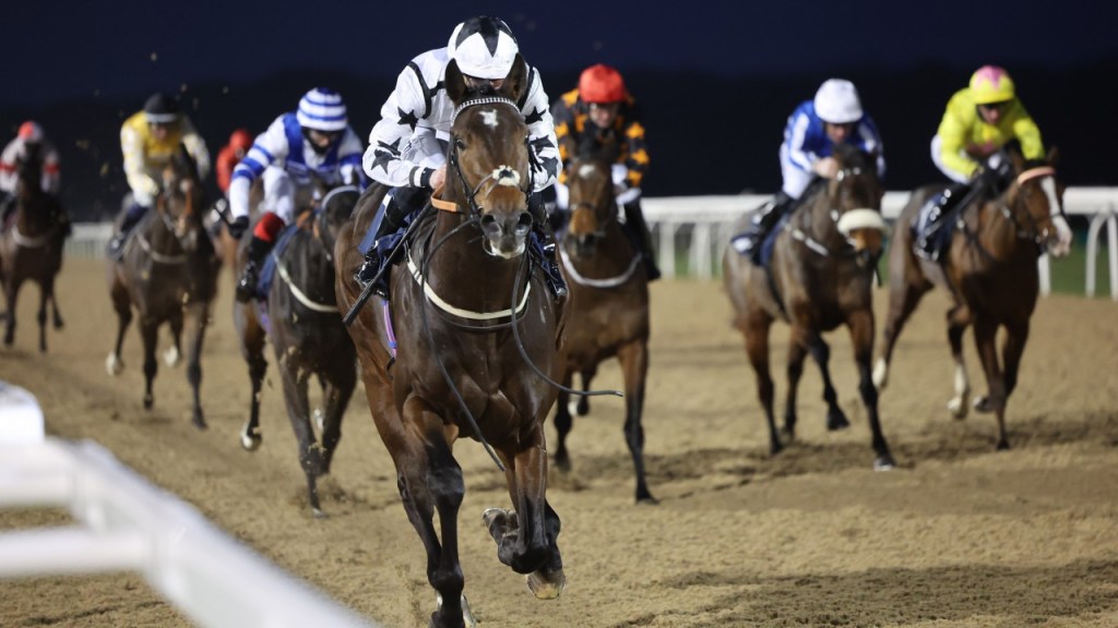 每日賽馬晚報（2022年1月25日），Sir Winston突襲飛馬世界盃，冠軍種馬Into Mischief之母Leslie’s Lady離世