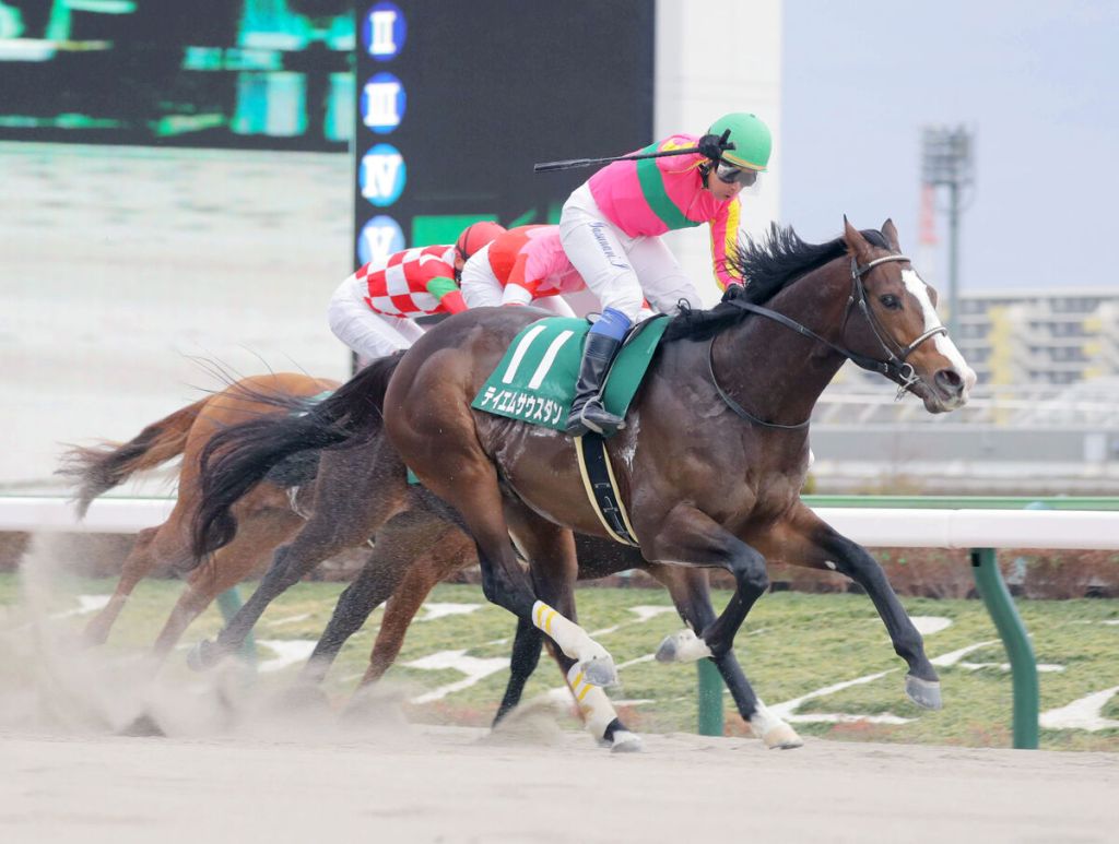 每日賽馬晚報（2022年1月30日），唯獨愛你歡送儀式如女兒出嫁，Reframe再來大外一氣