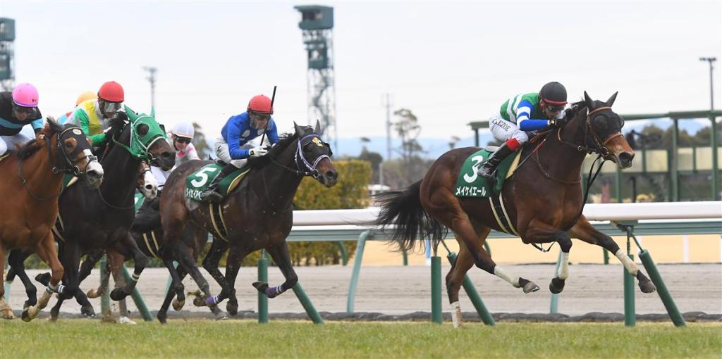 絲路錦標，齊叫好順當贏馬