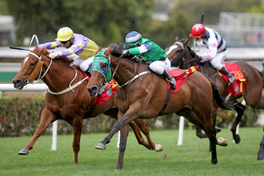 賀年盃，大年初三過超好日子