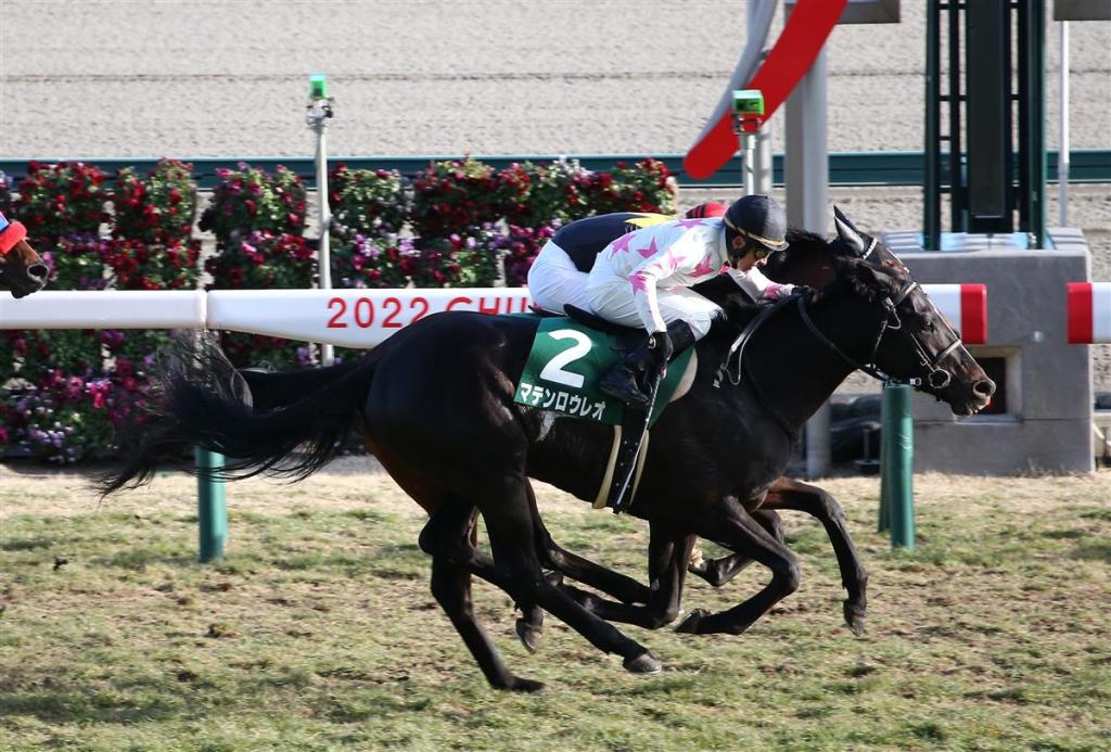 如月賞，Matenro Leo萬丈高樓平地起