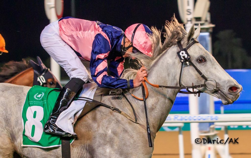 日本馬捲土重來，杜拜草地大賽如何逆襲
