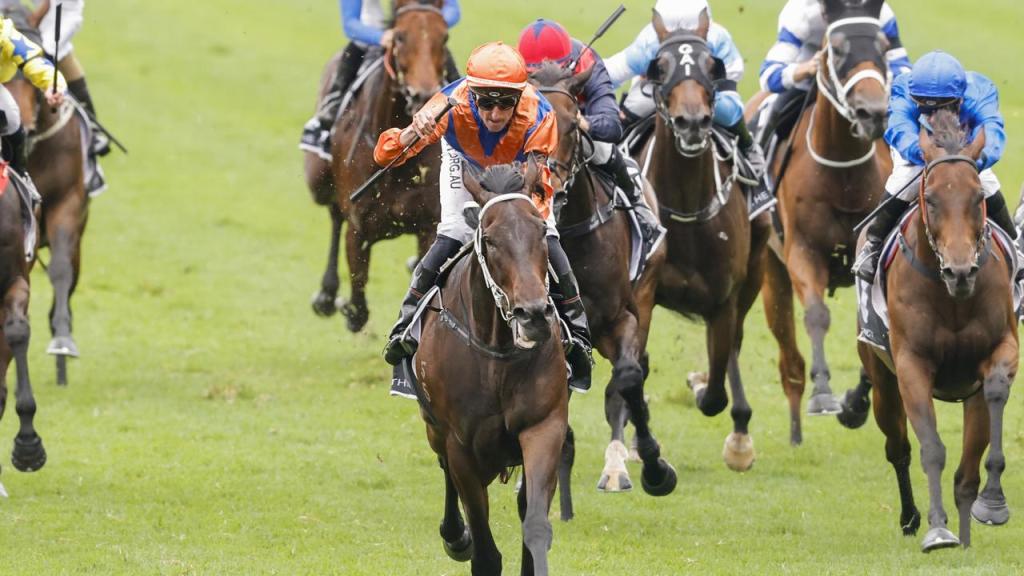 每日賽馬晚報（2022年4月6日），反覆思量不放棄出戰女皇伊利沙伯錦標，Equinox一個舉動料成皐月賞大熱