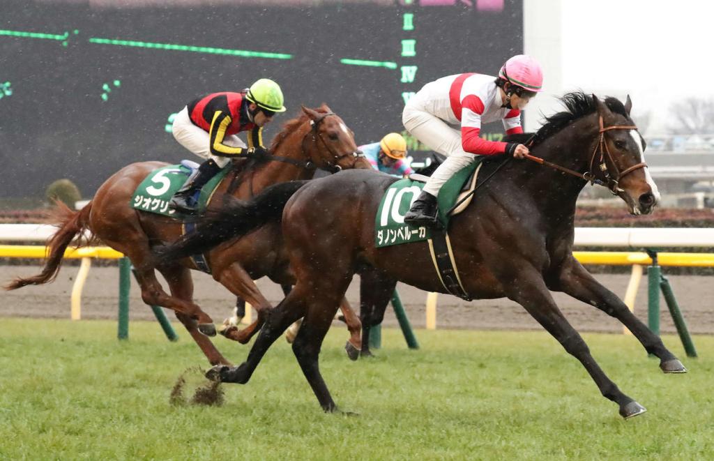 野田猛鯨能否正面回擊？