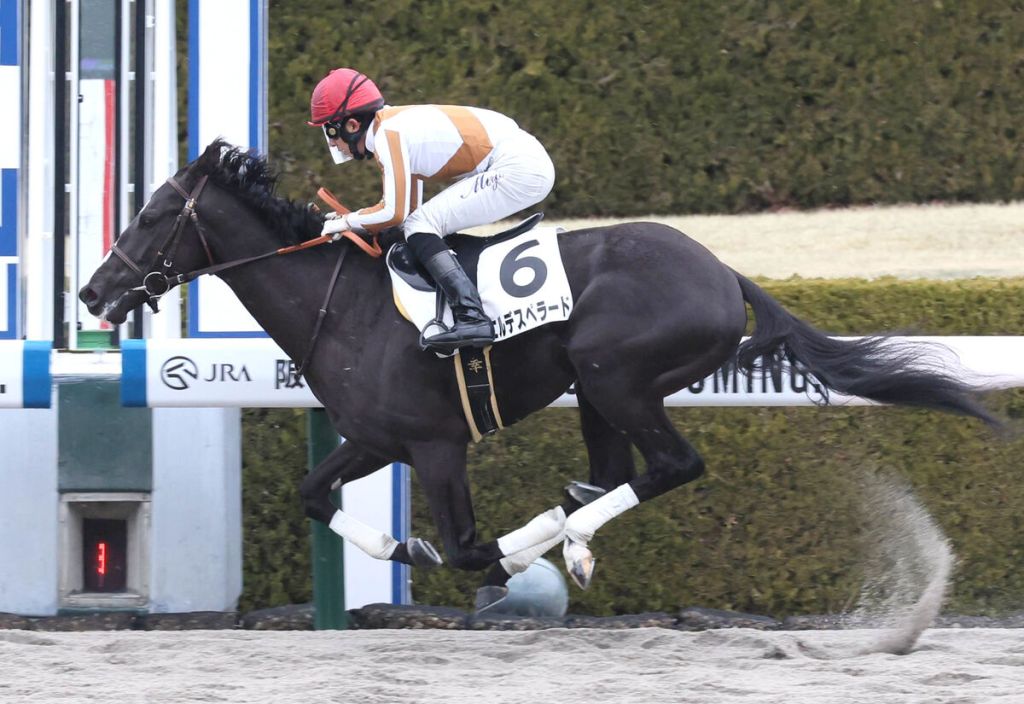 每日賽馬晚報（2022年2月13日），南非三冠馬前往美國上陣，前香港馬好好瑪霍巴特贏三級賽