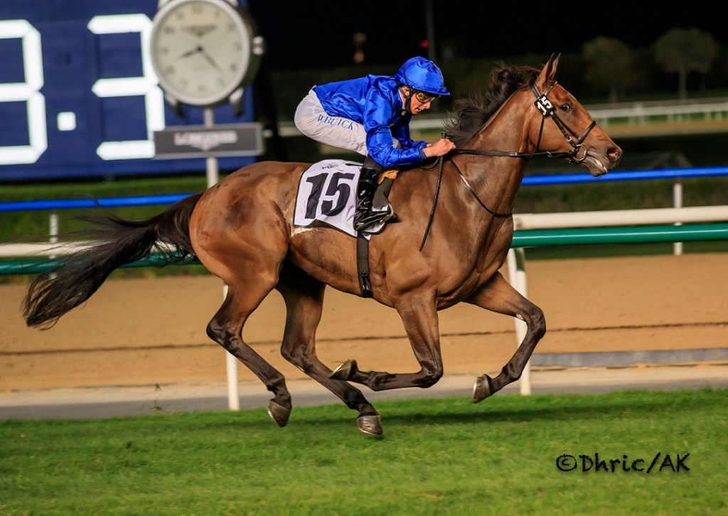 杜拜世界盃嘉年華第六週，Shahama三歲雌馬賽越戰越惡，高多芬稱霸全部草地賽