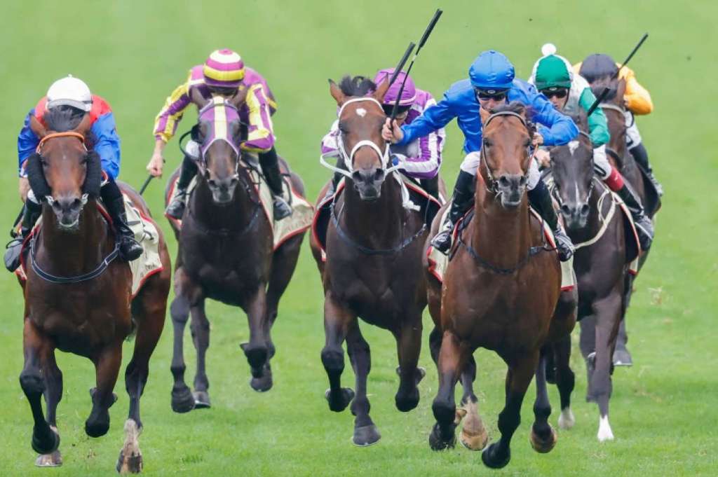 每日賽馬晚報（2022年2月19日），貝湯美做愛禮物替工，La Crique成紐西蘭打吡大熱