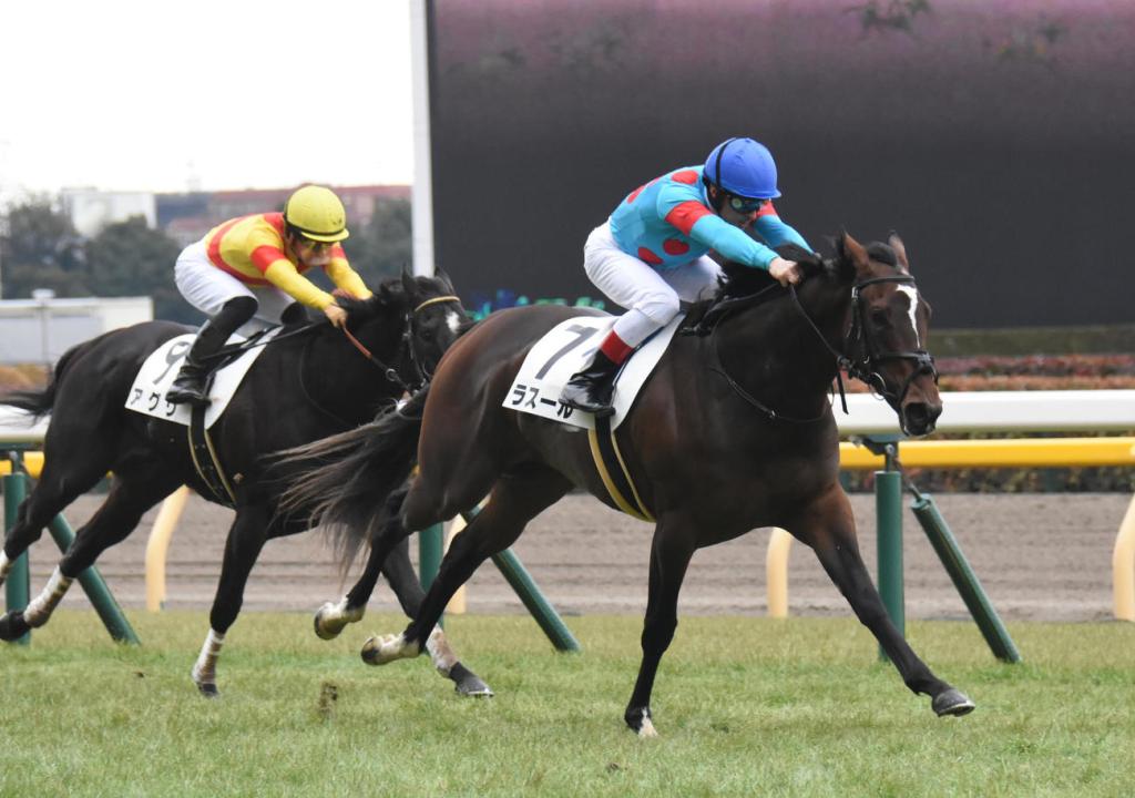 每日賽馬晚報(2022年2月21日),蘇偉賢視密切接觸者被隔離,速度大師跑杜拜草地大賽