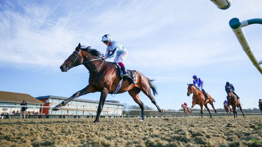 每日賽馬晚報（2022年2月27日），阿倫克爾擊敗諾斯勳爵奪冬季打吡、獨眼馬Un Ojo爆冷贏出二級賽
