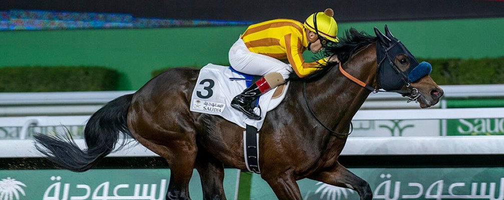 多駒獲邀請加沙地盃賽馬日賽事