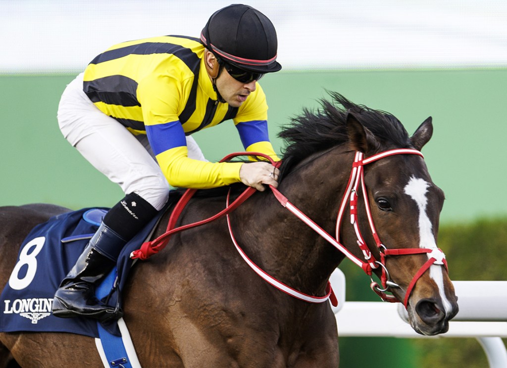 日本馬沙地盃賽馬日之強，李慕華開無雙，藤澤和雄遙距督師