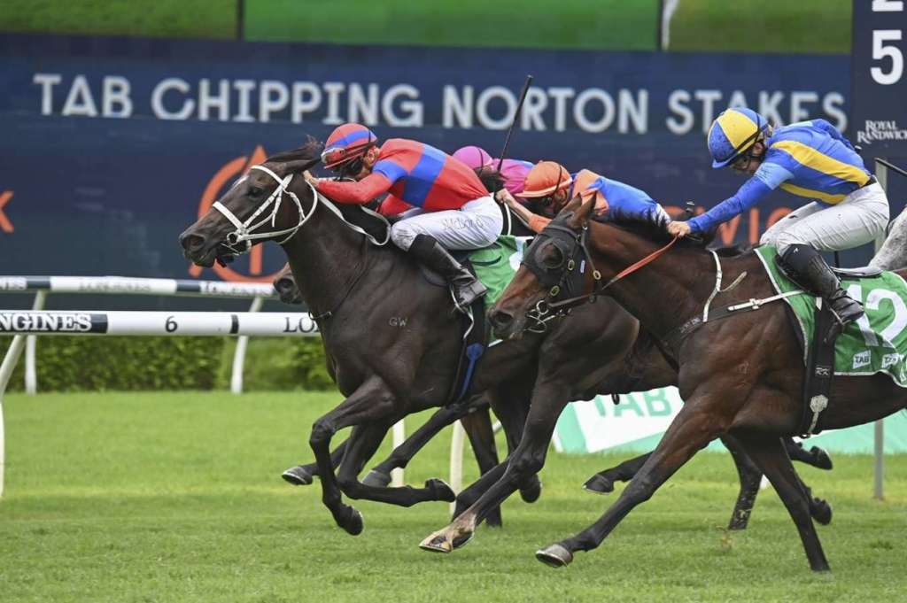 每日賽馬晚報（2022年7月29日），雅佳特承辦貝蒙園秋季賽事，雍容爾雅避戰羅斯齊爾德大賽