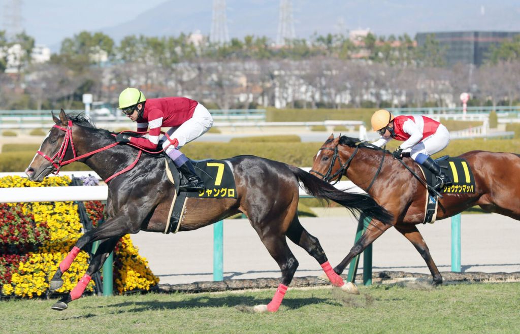 新人馬主藤田晉能否憑畫出浪漫稱霸G1？