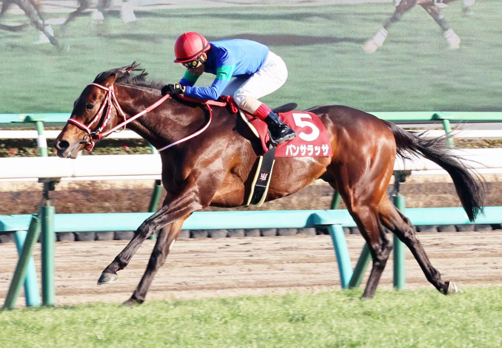 每日賽馬晚報（2022年3月3日），更多日本馬參加杜拜世界盃賽馬日，超級星期六八場主力馬簡介