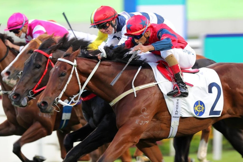 2022香江四歲後起之秀，中華盛景可否再進一步？