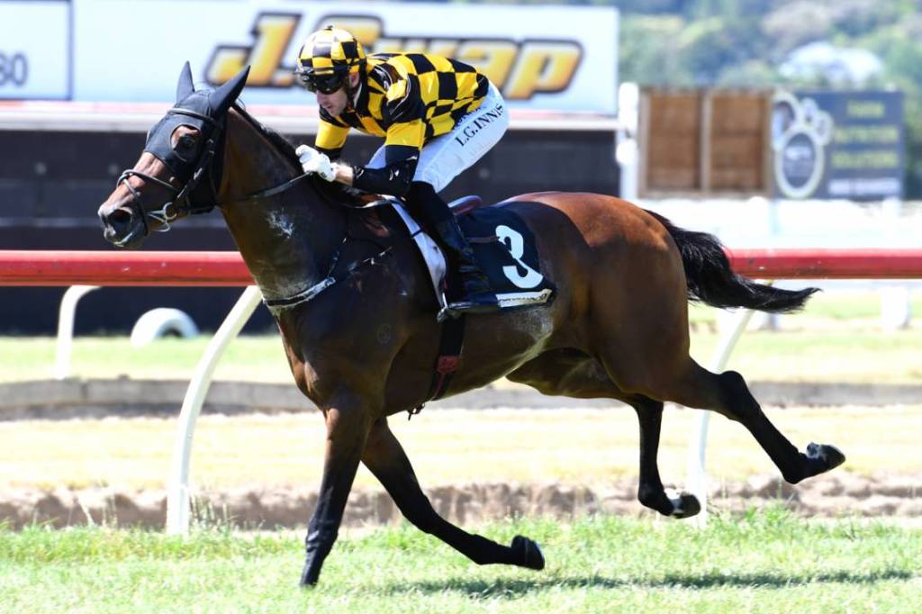 紐西蘭打吡實力馬介紹，擊退年長馬頂班選擇