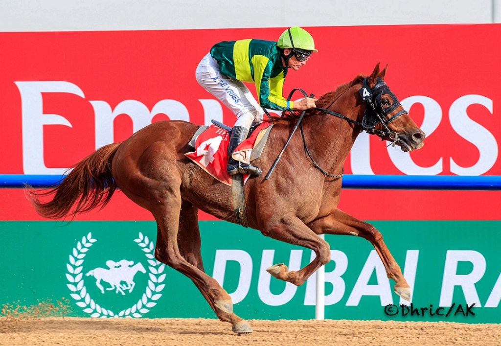 超級星期六第一部份,命令號令天下,漠土智慧守內側贏馬