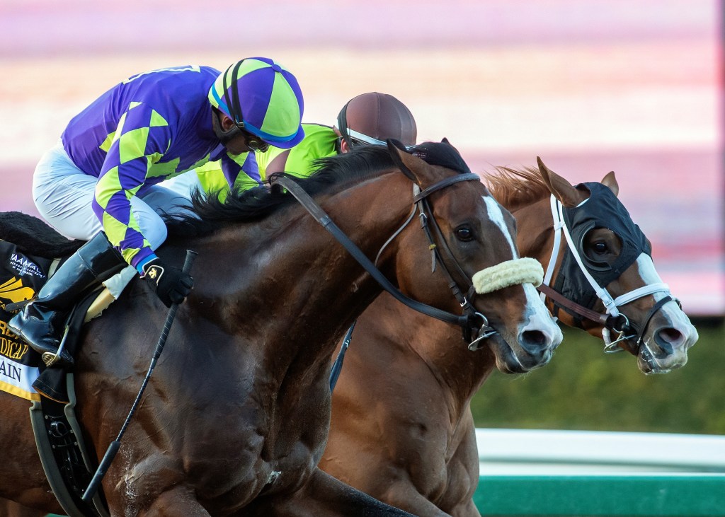 每日賽馬晚報（2022年3月6日），Express Train駛進聖雅尼塔讓賽，群青的開場小號4月初首播