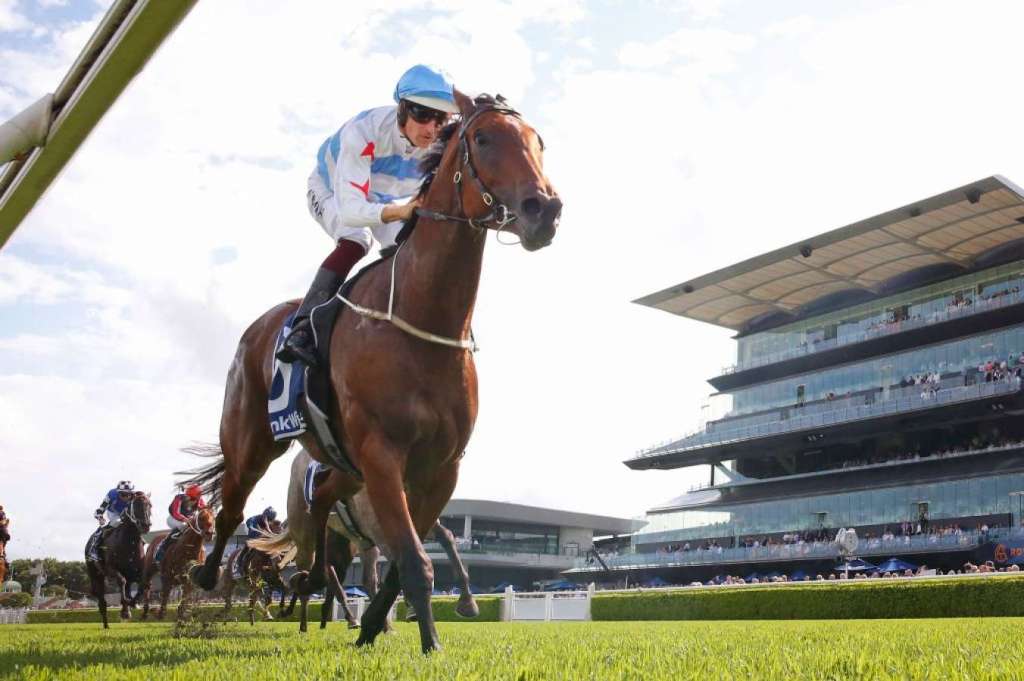 每日賽馬晚報（2022年3月5日），種馬Le Havre急逝，布文達100場一級賽勝利