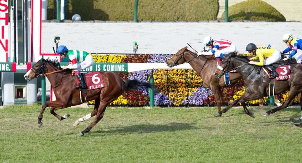 實力三歲馬突擊，年長馬在女皇伊利沙伯二世盃如何招架？