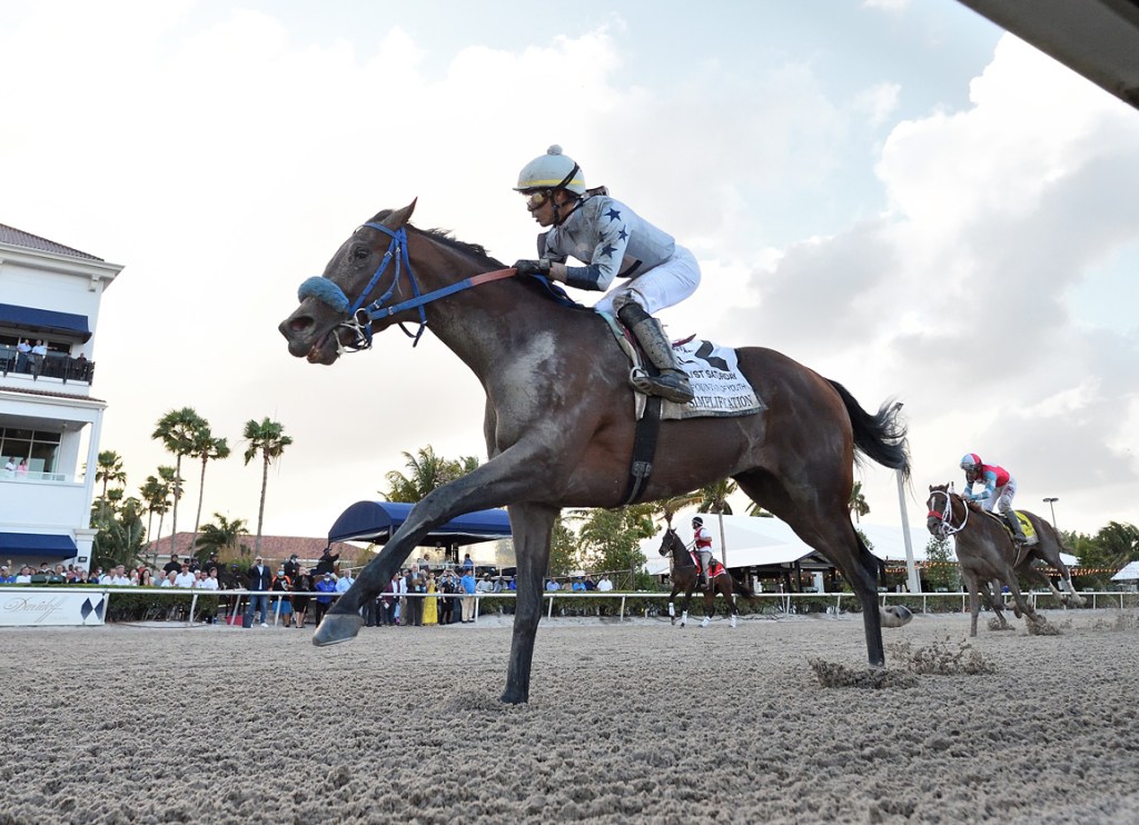 每日賽馬晚報（2022年3月7日），諾斯勳爵出發前往杜拜，至寶全弟以百萬紐元成交