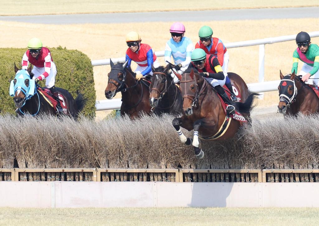 每日賽馬晚報（2022年3月12日），肯塔基打吡冠軍Go for Gin離世，長山之馬復出戰再敗陣