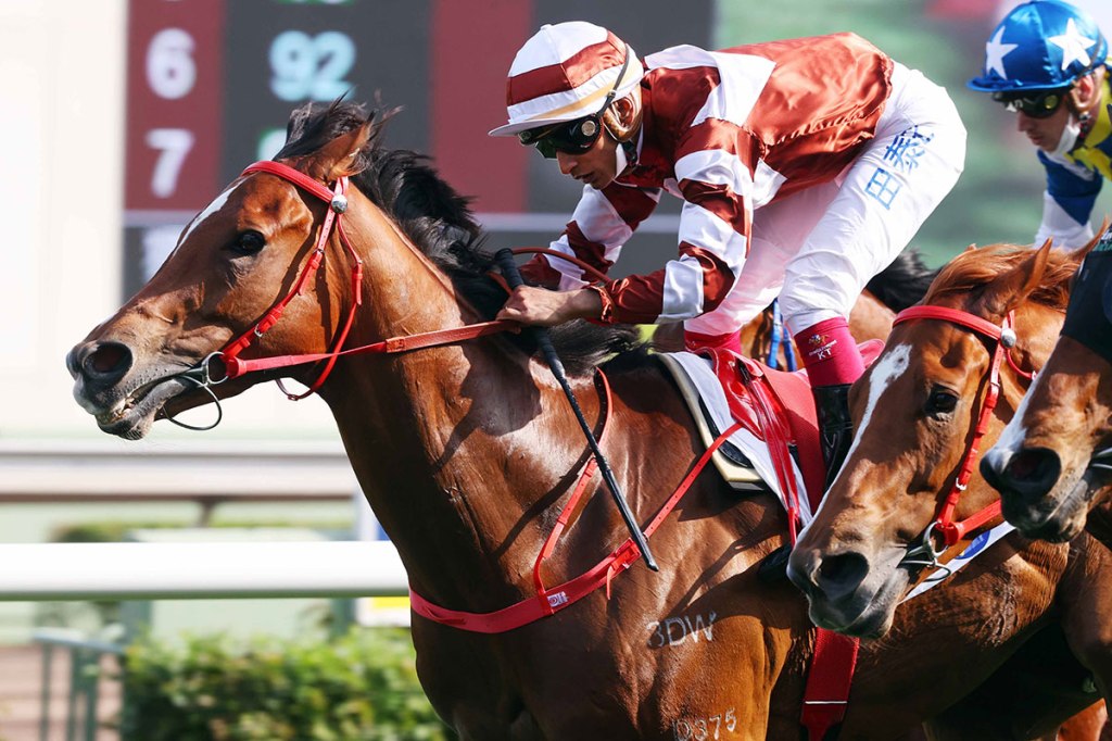 香港短途錦標爆出大穴關鍵好眼光