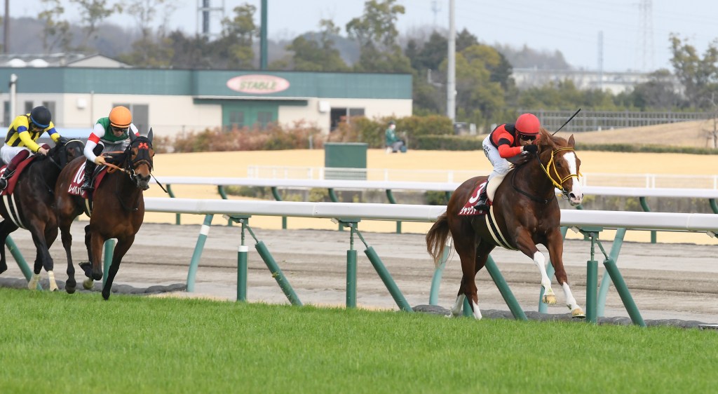 香港盃大逃宣言不只有本初之海，還有金積驥