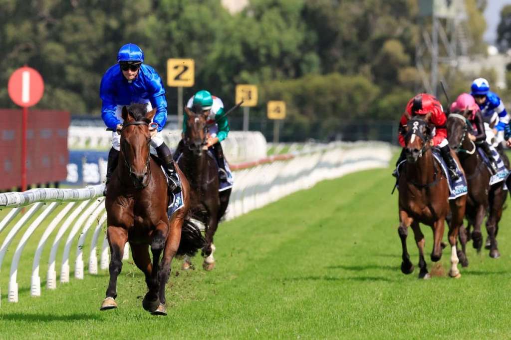 愛禮物大敗，前景末明或直接轉任種馬