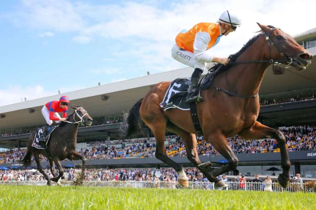 蘭威錦標，山間倩女擊敗星級馬雍容爾雅