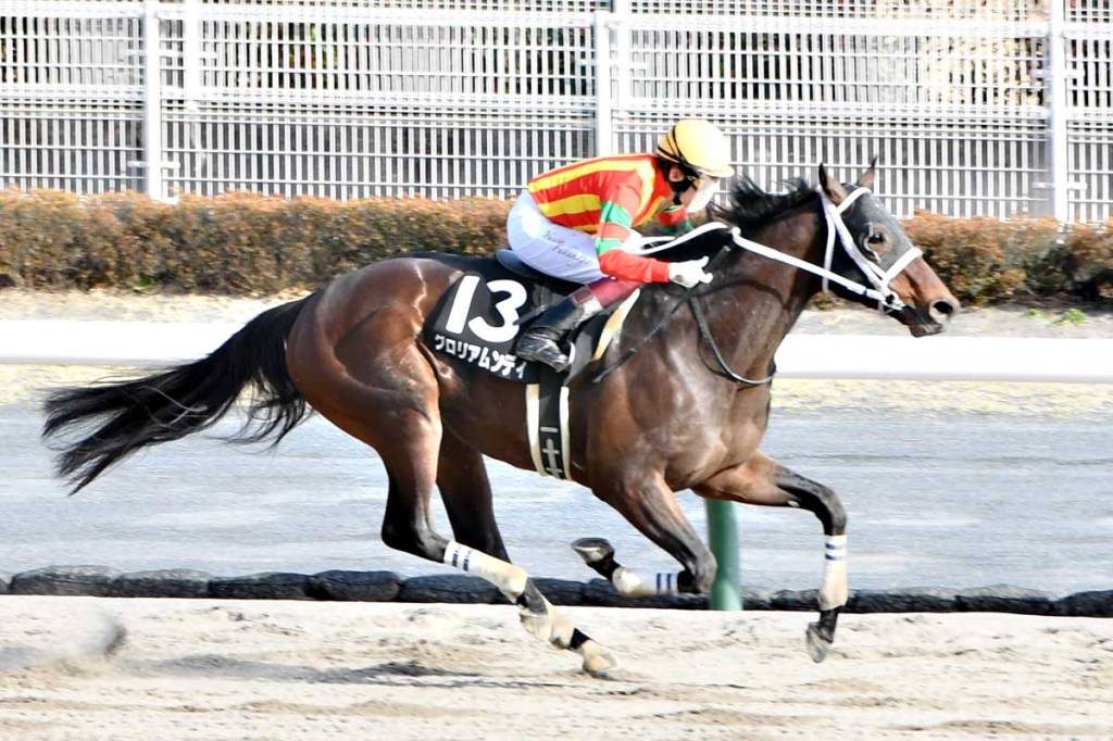 寶塚紀念賽外卡精選，緋紅玫瑰從泥轉草