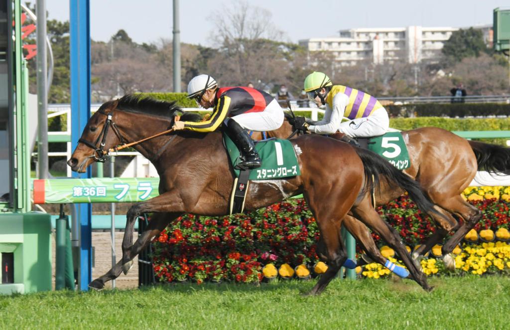 每日賽馬晚報（2022年3月21日），香港現首宗騎師確診個案，反叛丹駒種權爭奪戰開始