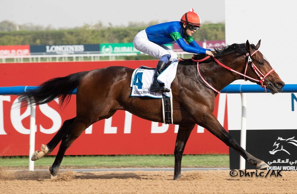 每日賽馬晚報（2022年5月11日），香港賽馬即將恢復公眾入場及場外投注，猛獅闊步英國遠征成行