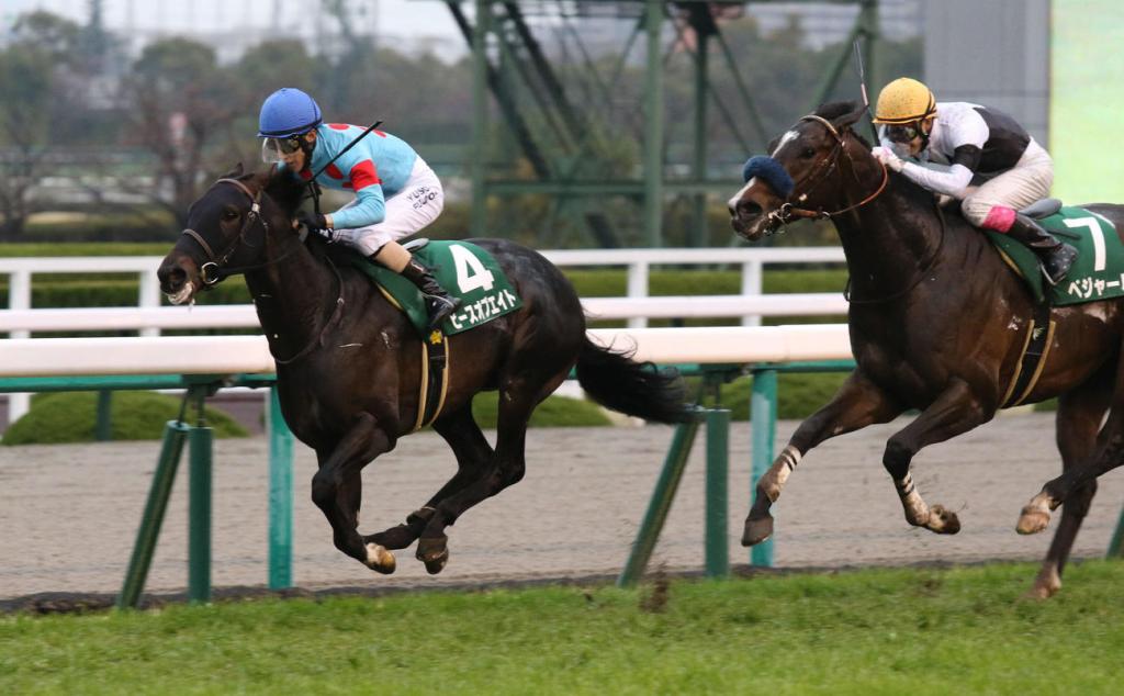 每日盃,Piece of Eight把握時時機放到底