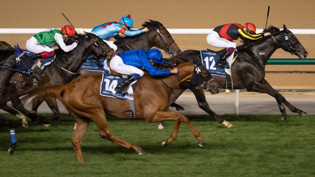 每日賽馬晚報（2024年12月25日），🇦🇺雲絲仙子首胎正式命名、🇯🇵大帝退役轉做馬